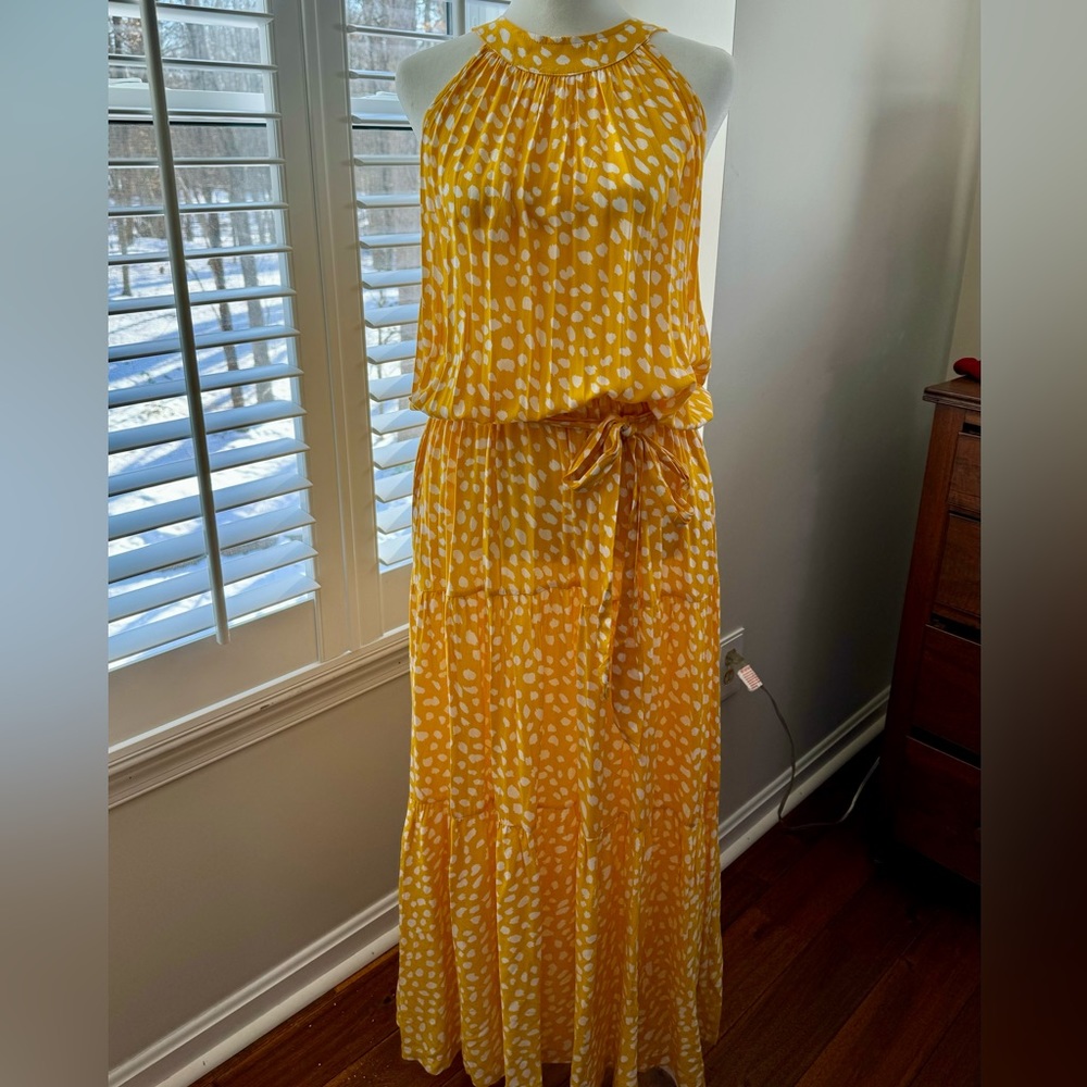 Polka Dot Maxi Dress